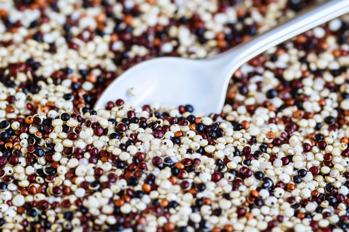 Cups tri-colored quinoa